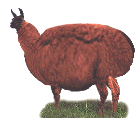 lolololololololol!llama